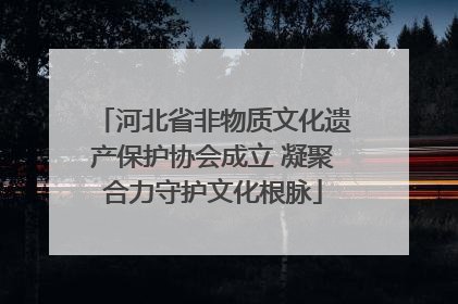 河北省非物质文化遗产保护协会成立 凝聚合力守护文化根脉