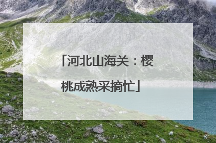 河北山海关：樱桃成熟采摘忙