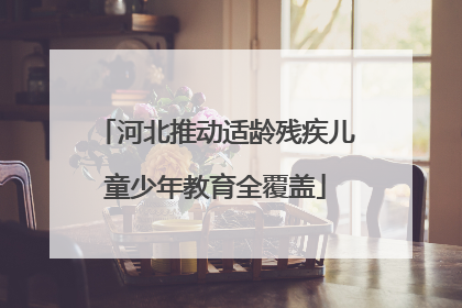 河北推动适龄残疾儿童少年教育全覆盖