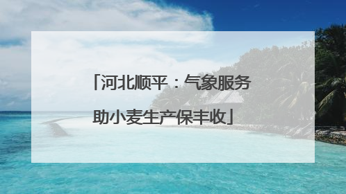 河北顺平：气象服务助小麦生产保丰收