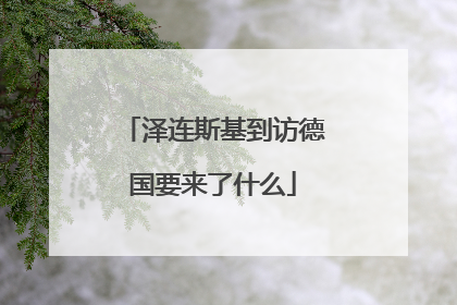 泽连斯基到访德国要来了什么