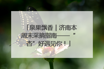 泉果飘香｜济南本周末采摘指南——“杏”好遇见你！