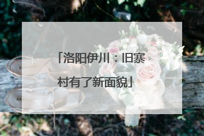 洛阳伊川：旧寨村有了新面貌