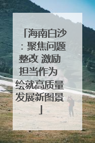 海南白沙：聚焦问题整改 激励担当作为 绘就高质量发展新图景