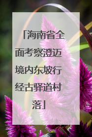 海南省全面考察澄迈境内东坡行经古驿道村落