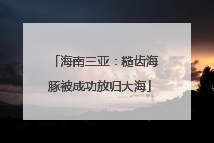 海南三亚：糙齿海豚被成功放归大海