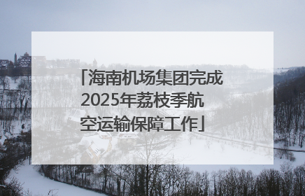 海南机场集团完成2025年荔枝季航空运输保障工作