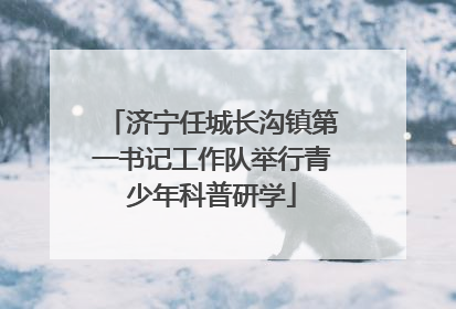 济宁任城长沟镇第一书记工作队举行青少年科普研学
