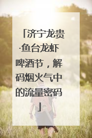 济宁龙贵·鱼台龙虾啤酒节，解码烟火气中的流量密码