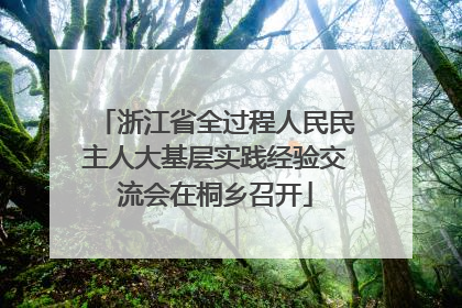浙江省全过程人民民主人大基层实践经验交流会在桐乡召开