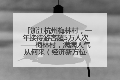 浙江杭州梅林村，一年接待游客超5万人次——梅林村，满满人气从何来（经济新方位·农村消费观察）