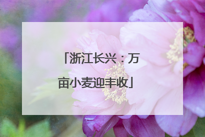 浙江长兴：万亩小麦迎丰收