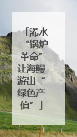 浠水“锅炉革命”让海鳗游出“绿色产值”