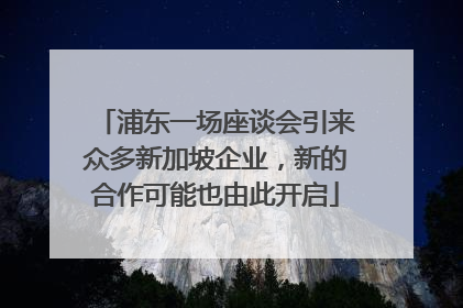 浦东一场座谈会引来众多新加坡企业，新的合作可能也由此开启
