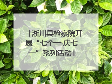 淅川县检察院开展“七个一·庆七一”系列活动