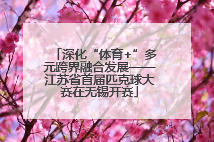 深化“体育+”多元跨界融合发展——江苏省首届匹克球大赛在无锡开赛