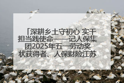 深耕乡土守初心 实干担当践使命——记人保集团2025年五一劳动奖状获得者、人保财险江苏南通海安支公司
