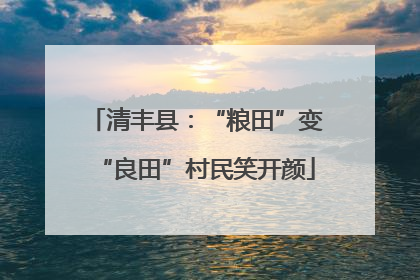 清丰县：“粮田”变“良田”村民笑开颜