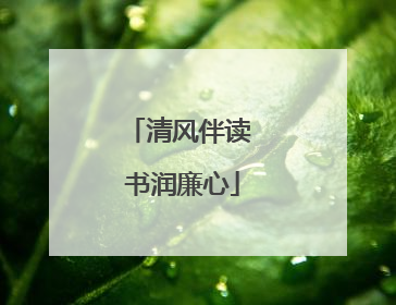 清风伴读 书润廉心