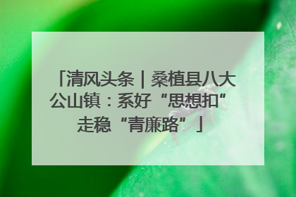 清风头条｜桑植县八大公山镇：系好“思想扣” 走稳“青廉路”