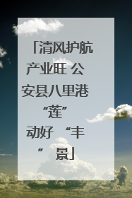 清风护航产业旺 公安县八里港 “莲” 动好 “丰” 景