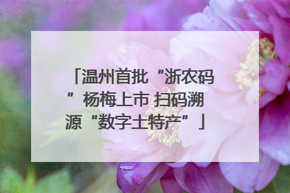温州首批“浙农码”杨梅上市 扫码溯源“数字土特产”