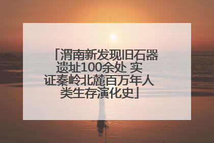 渭南新发现旧石器遗址100余处 实证秦岭北麓百万年人类生存演化史
