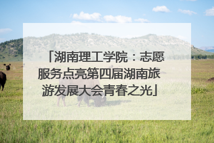 湖南理工学院：志愿服务点亮第四届湖南旅游发展大会青春之光