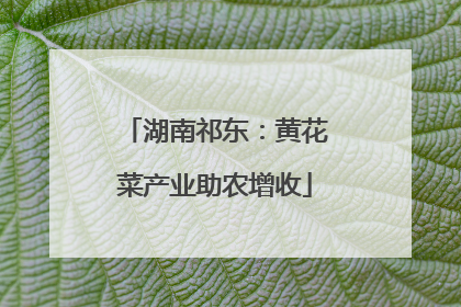 湖南祁东：黄花菜产业助农增收