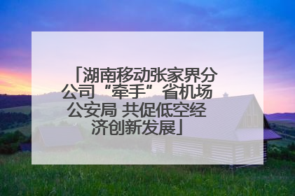湖南移动张家界分公司“牵手”省机场公安局 共促低空经济创新发展