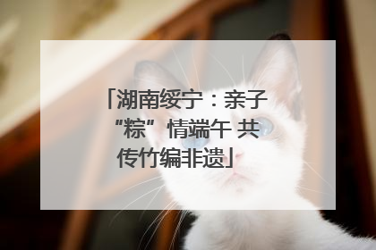 湖南绥宁：亲子“粽”情端午 共传竹编非遗