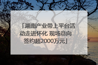 湖南产业带上平台活动走进怀化 现场意向签约超2000万元