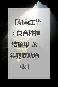 湖南江华：复合种植结硕果 龙头兜底助增收