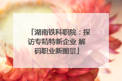 湖南铁科职院：探访专精特新企业 解码职业新图景