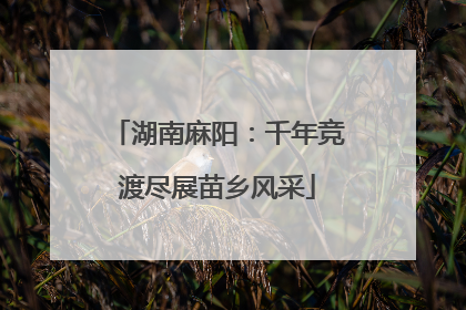 湖南麻阳：千年竞渡尽展苗乡风采