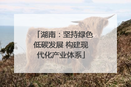 湖南：坚持绿色低碳发展 构建现代化产业体系