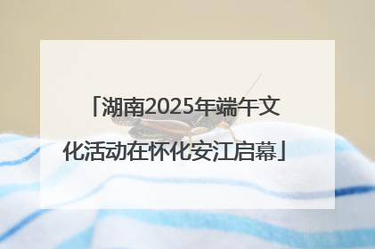 湖南2025年端午文化活动在怀化安江启幕