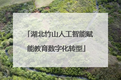 湖北竹山人工智能赋能教育数字化转型