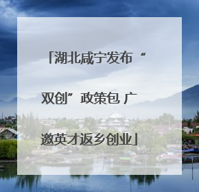 湖北咸宁发布“双创”政策包 广邀英才返乡创业