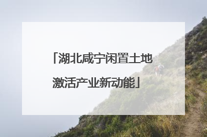 湖北咸宁闲置土地激活产业新动能