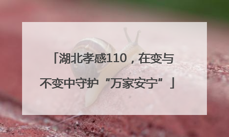 湖北孝感110，在变与不变中守护“万家安宁”