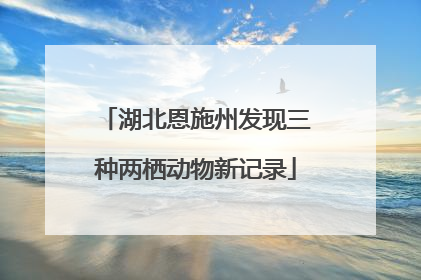 湖北恩施州发现三种两栖动物新记录
