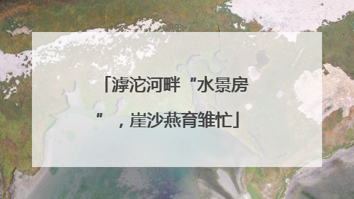 滹沱河畔“水景房”，崖沙燕育雏忙