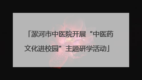 漯河市中医院开展“中医药文化进校园”主题研学活动