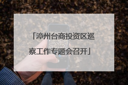 漳州台商投资区巡察工作专题会召开