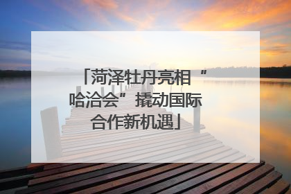 菏泽牡丹亮相“哈洽会”撬动国际合作新机遇