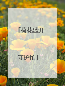 荷花盛开守护忙