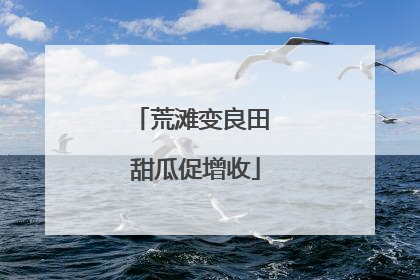 荒滩变良田 甜瓜促增收