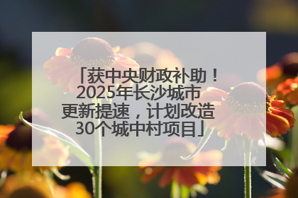 获中央财政补助！2025年长沙城市更新提速，计划改造30个城中村项目
