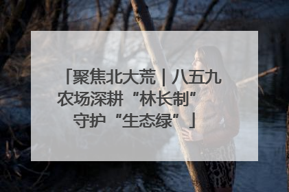 聚焦北大荒｜八五九农场深耕“林长制” 守护“生态绿”
